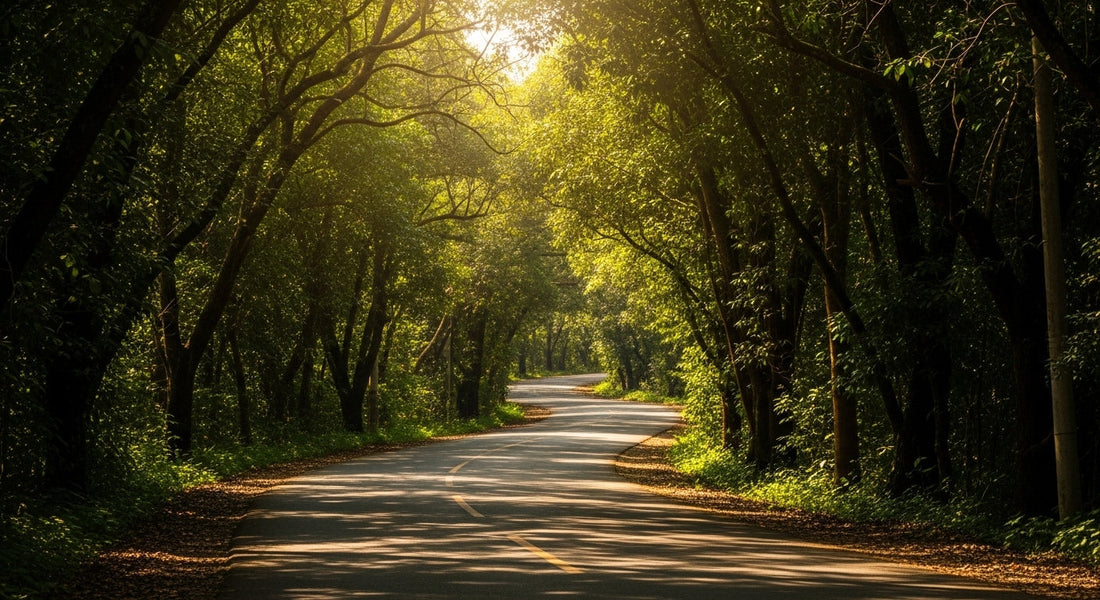 The Rise of “Car Camping”: Turning Vehicles into Mini Getaways