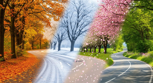 Why Driving Through Changing Seasons Feels So Emotional