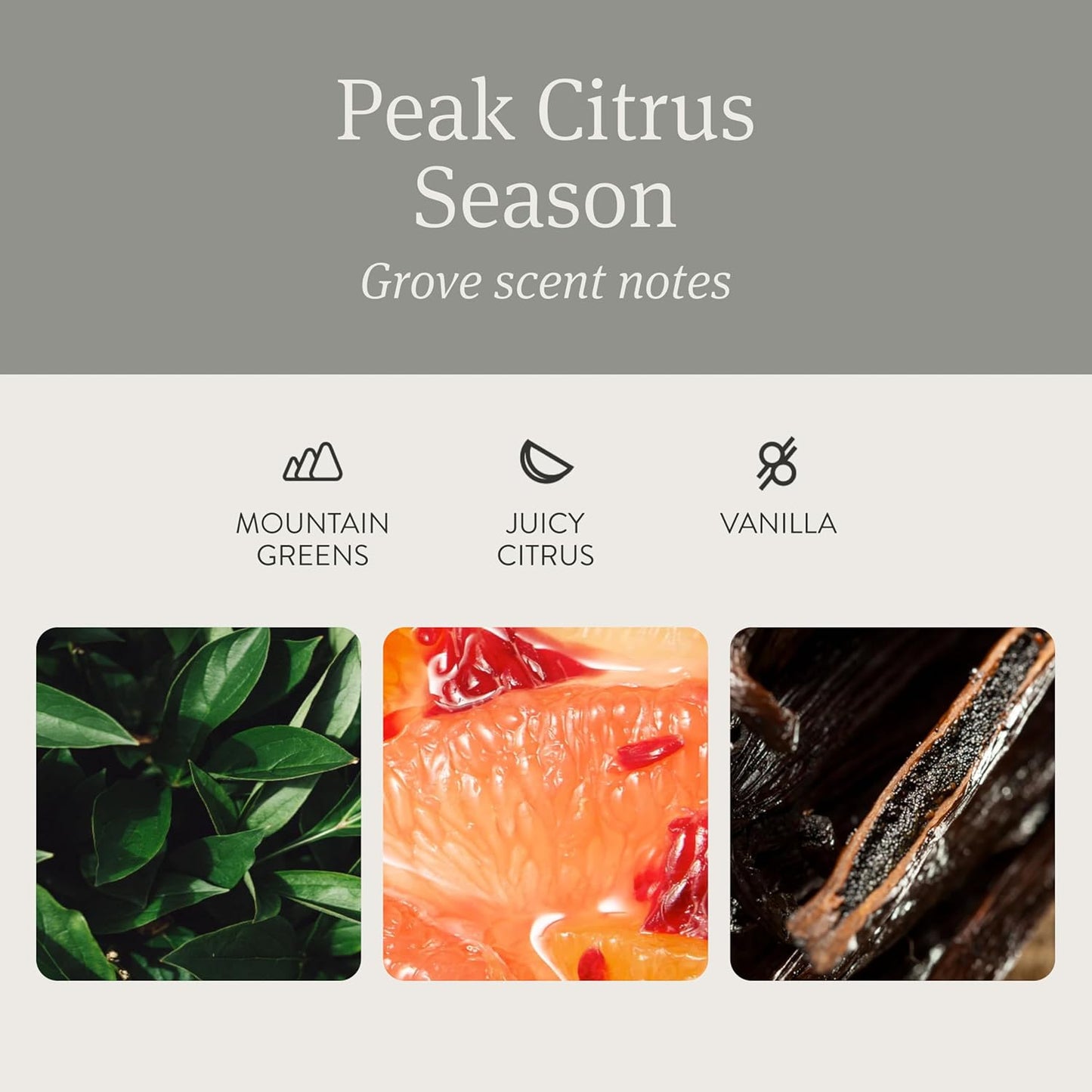 Drift Car Air Freshener - Stone Air Freshener - Car Odor Eliminator - Grove Scent Starter Kit