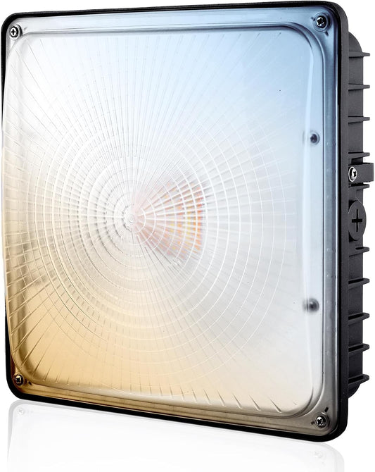 LED Canopy Light 100W, 40/60/80/100W Selectable, 5000K 15000Lumens Commercial Canopy LED Lights Outdoor, Gas Station Carport Light for Garage Shop Warehouse, IP65, DIM, 100-277VAC, ETL Listed