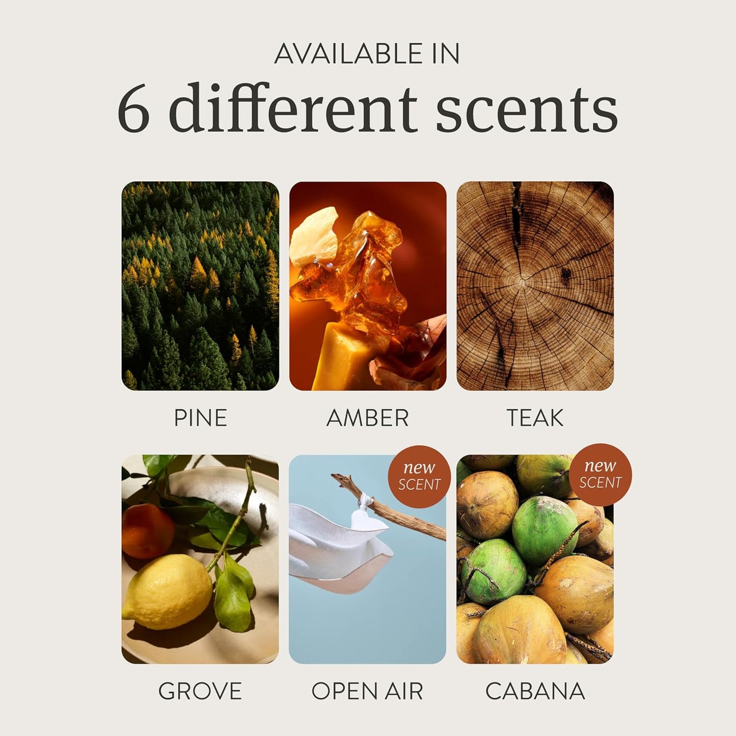 Drift Car Air Freshener - Wooden Deodorizer - Vehicle Odor Remover - Auto Scent Diffuser - Long-Lasting Car Freshening - Cabana Scent Refill - Pack of 3 - NO CLIP INCLUDED